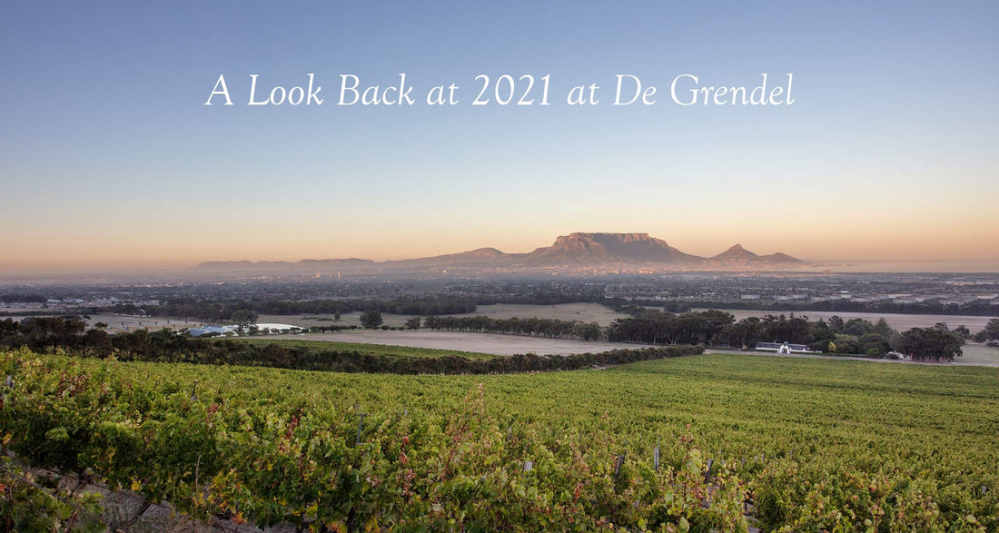 A Look Back at 2021