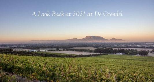 A Look Back at 2021