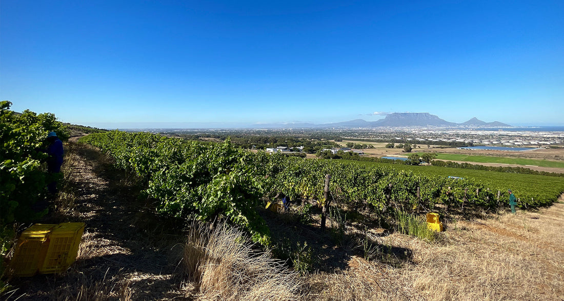 De Grendel Harvest Report 2021