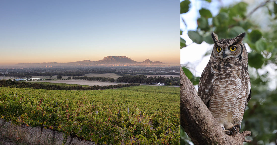 Protecting Our Night Guardians: Earth Day 2026 at De Grendel