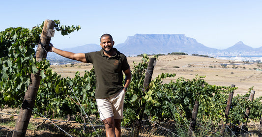 Harvest 2026 at De Grendel: A Season of Resilience and Promise