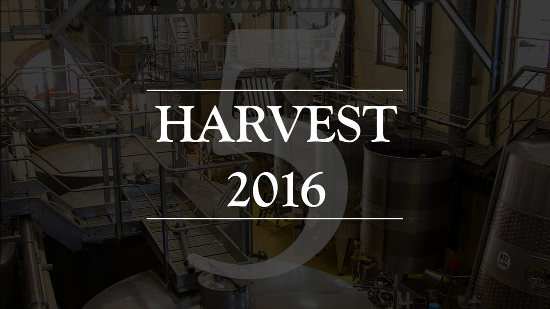 VIDEO: Harvest 2016 - Episode 5