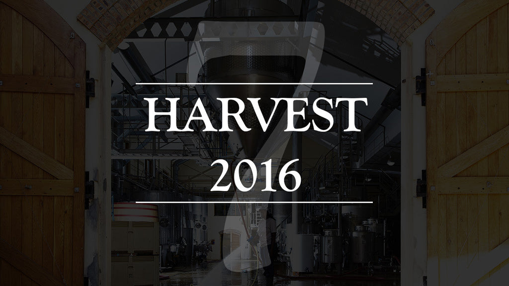 VIDEO: Harvest 2016 - Episode 7