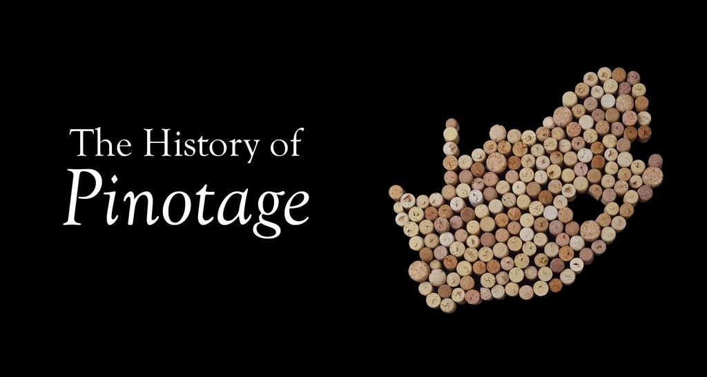 The History of Pinotage in South Africa