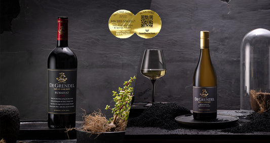 Shining in Platinum & Double Gold at 2022 Michelangelo Awards