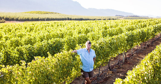 Cellar Master Charles Hopkins in De Grendel vineyards - Op Die Berg
