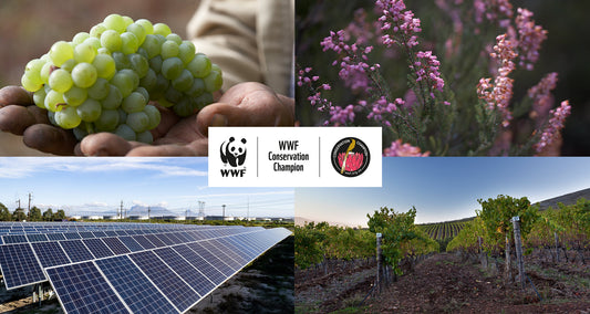 De Grendel Celebrates Conservation Milestone with WWF Conservation Champion Status