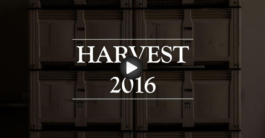 VIDEO: Harvest 2016 - Episode 1