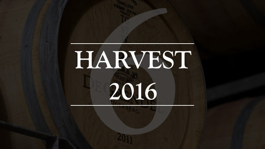 VIDEO: Harvest 2016 - Episode 6