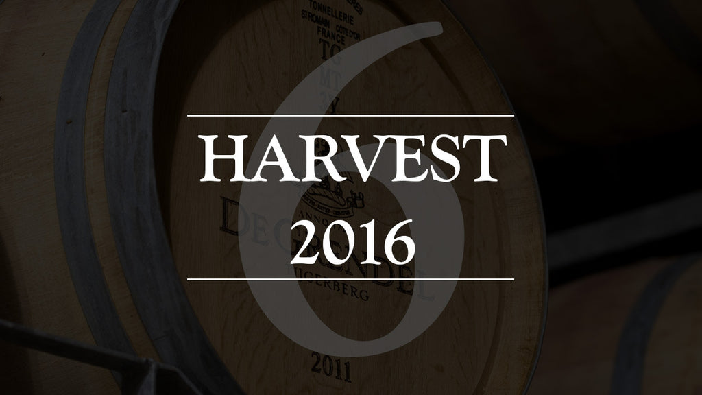 VIDEO: Harvest 2016 - Episode 6