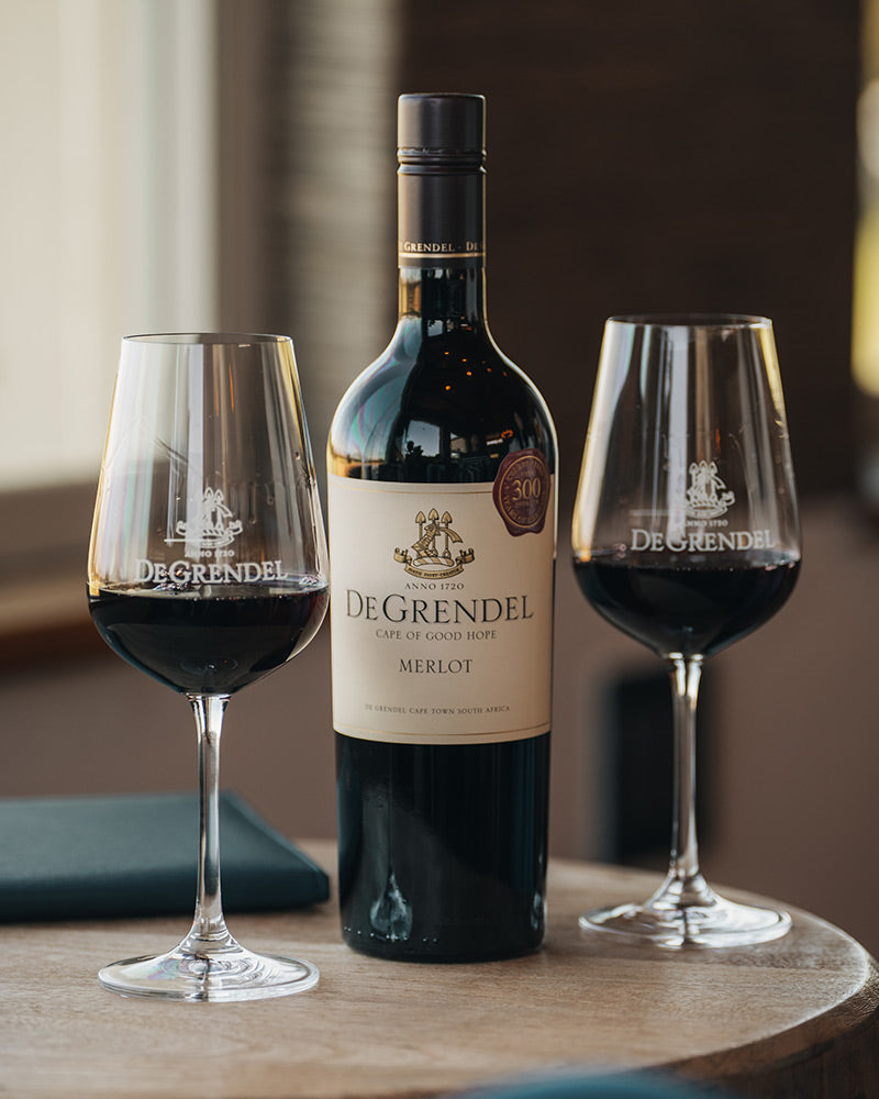 Merlot 2023 (24 Bottle Deal)